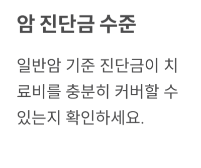 비갱신 암보험