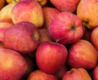 갑상선에 좋은 음식 29