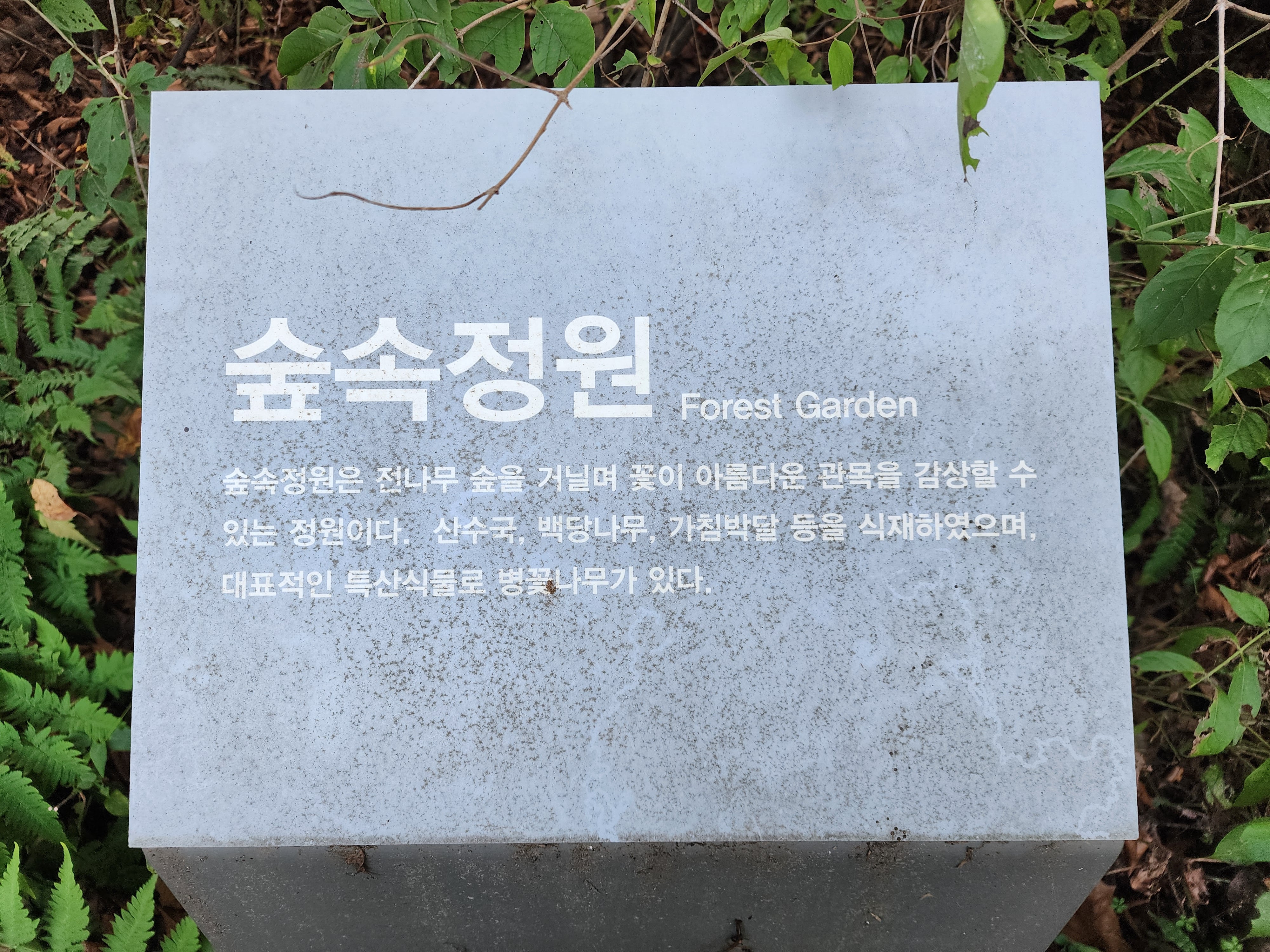 포천 국립수목원 숲속정원 안내 이미지