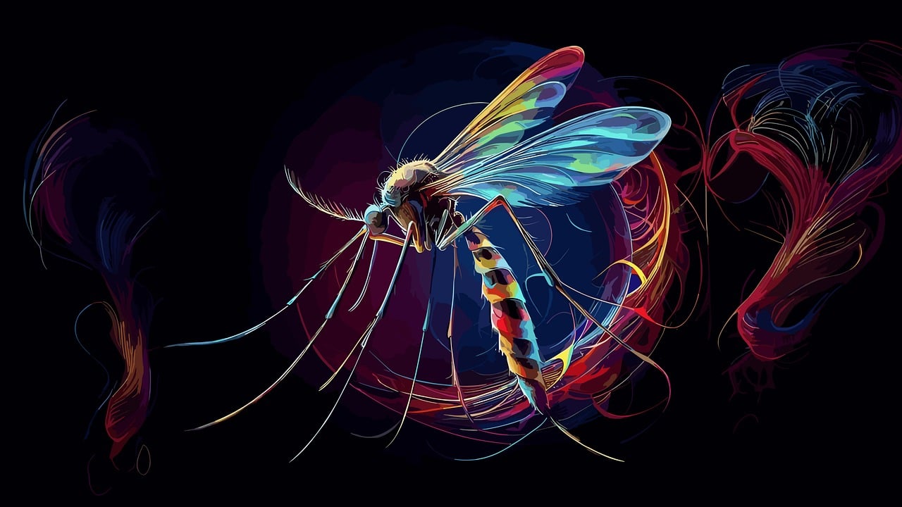 말라리아 주의보