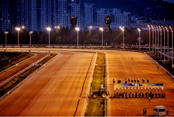렛츠런파크 벚꽃축제 야경