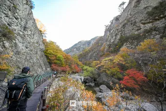 청송 주왕산 단풍시기, 맛집, 대전사, 펜션, 명일식당, 김치, 민박_30