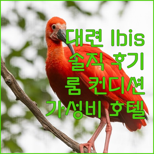 대련 Ibis 호텔 솔직 후기 룸 컨..