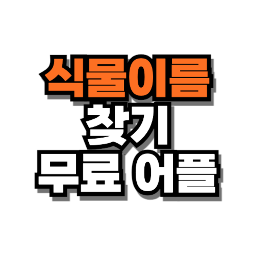 식물이름 찾기 무료 어플