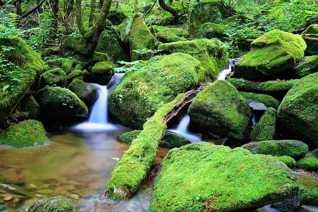 1966년 발행된 500원 지폐, 희귀성의 비밀