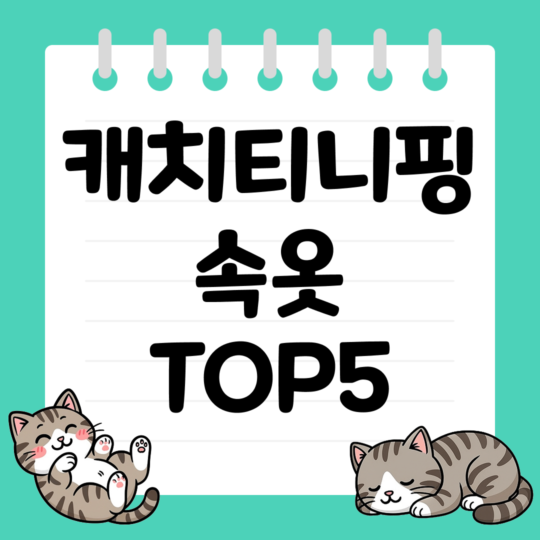 편안하고 귀여운 캐치티니핑 속옷 추천 TOP5