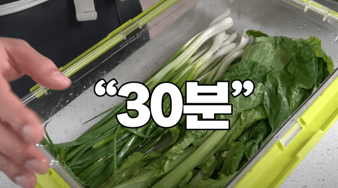 쪽파 청각 절이기