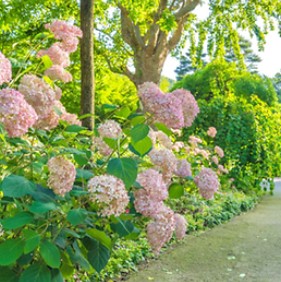 화담숲 예약: 한국의 고요한 수목원을 방문하는 방법&amp;#44; 입장료&amp;#44; 그리고 계절별 팁