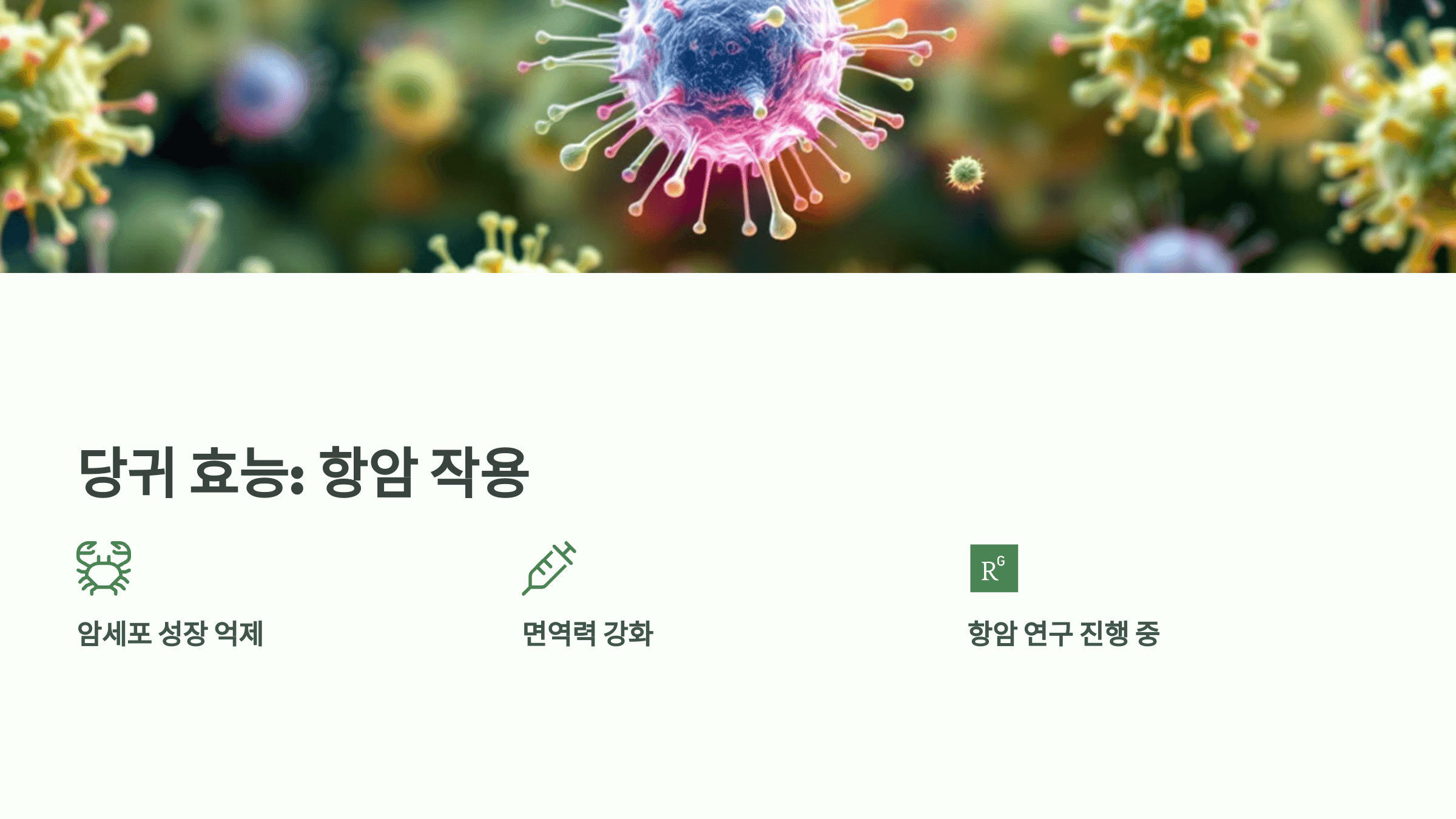 당귀 사진입니다.