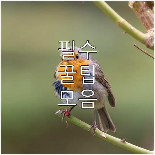 2025 광주 의로운 시민 지원 상시..