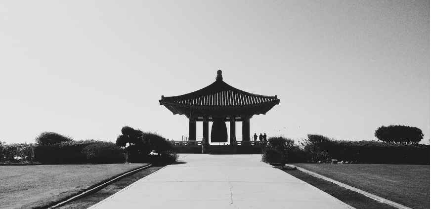 종의 모습