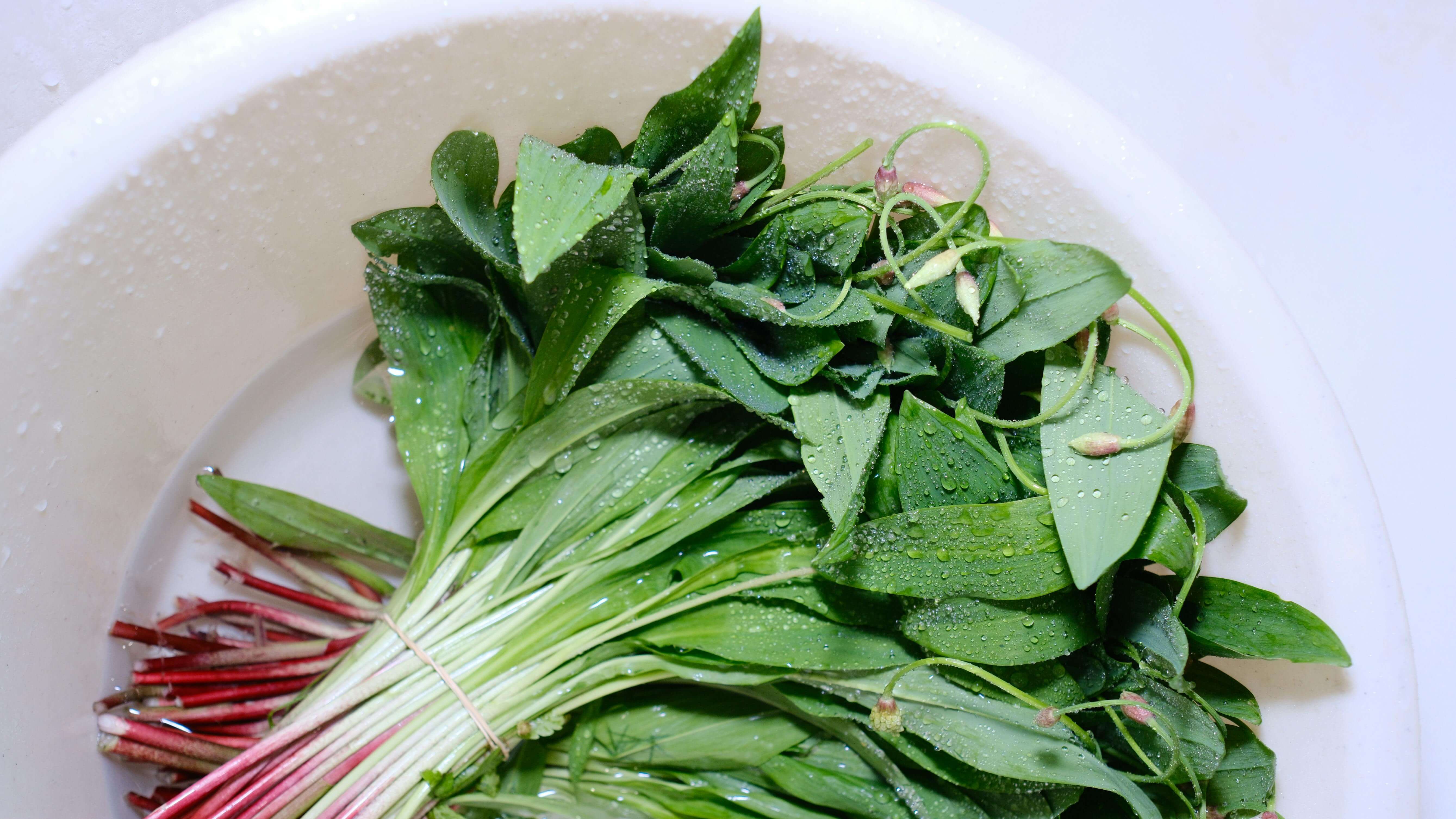 달래 효능 총정리: 봄철 면역력과 혈액순환에 좋은 이유