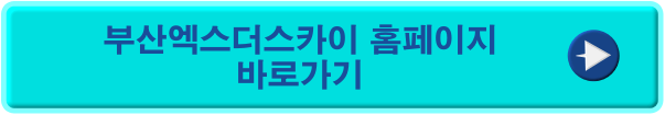부산엑스더스카이 바로가기