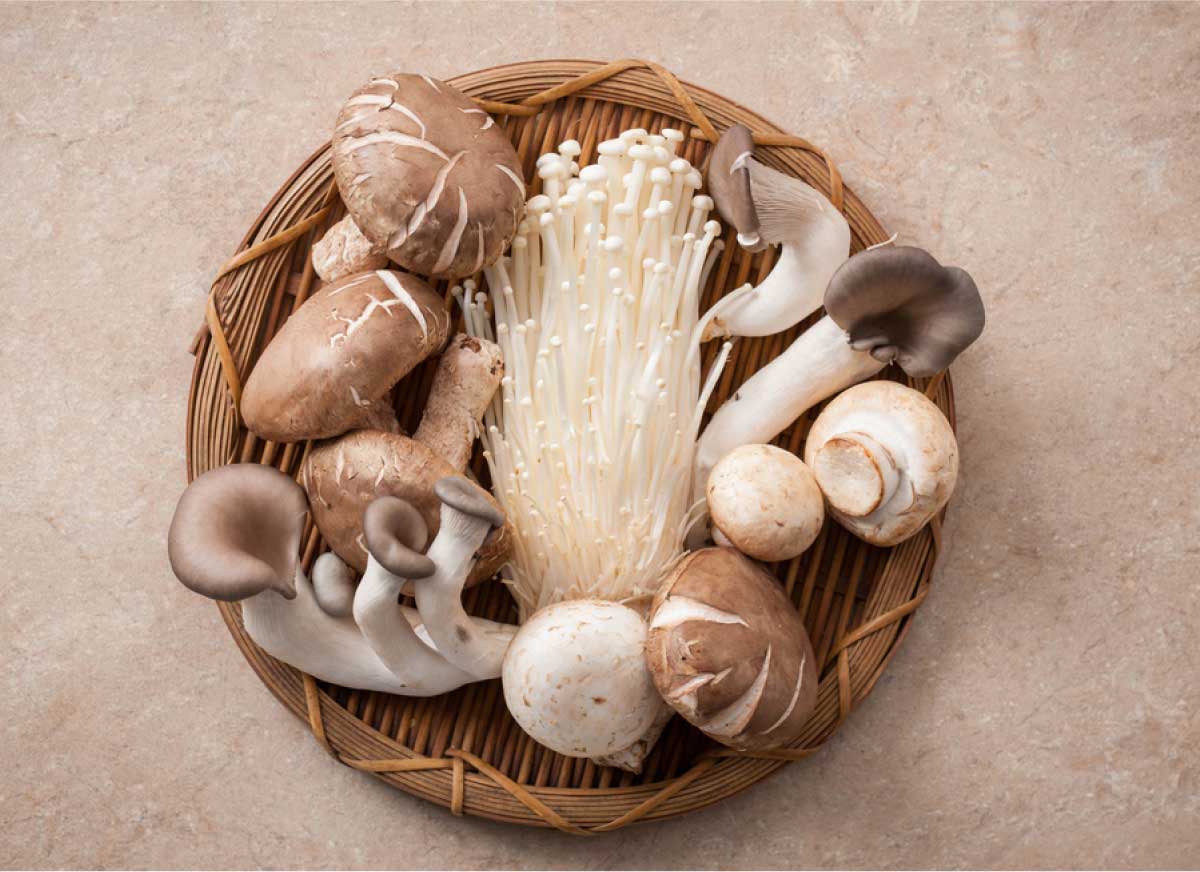 암 환자, 비타민D ‘이렇게’ 보충을 관련 이미지