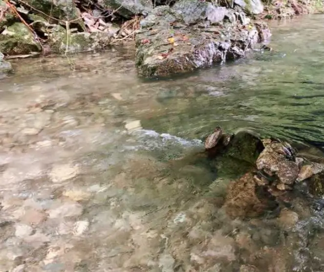 담양 물놀이 하기 좋은 계곡