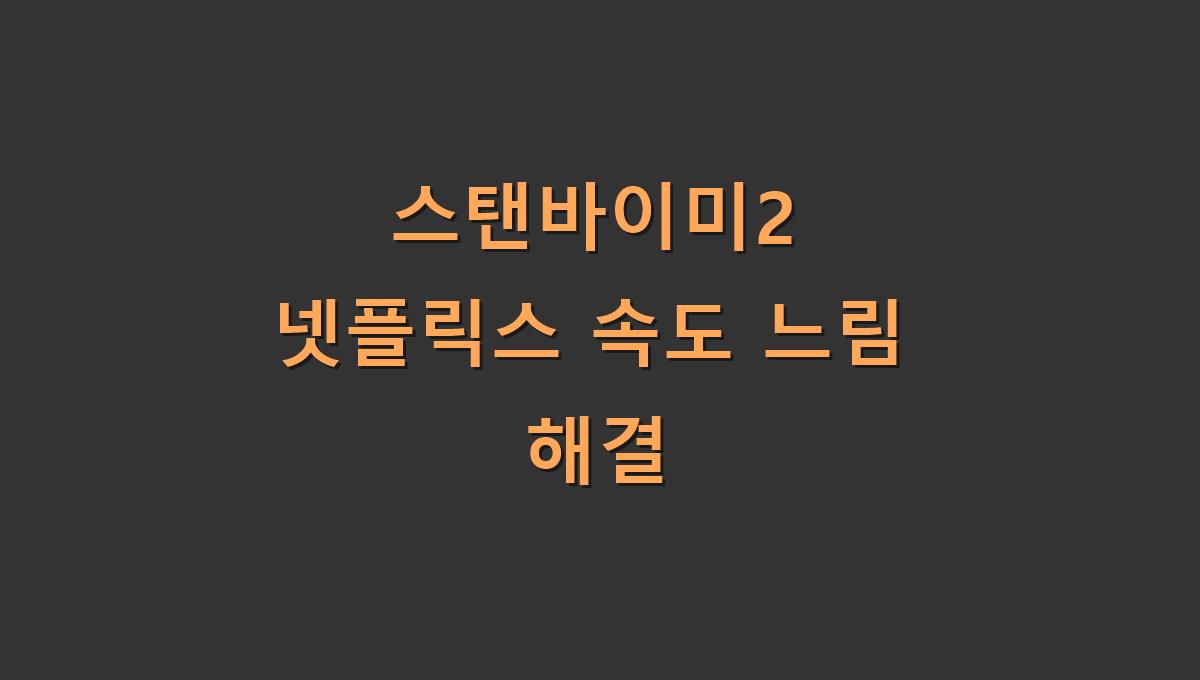 스탠바이미2 넷플릭스 속도 느림 해결