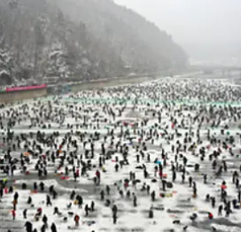 화천 산천어축제 펜션