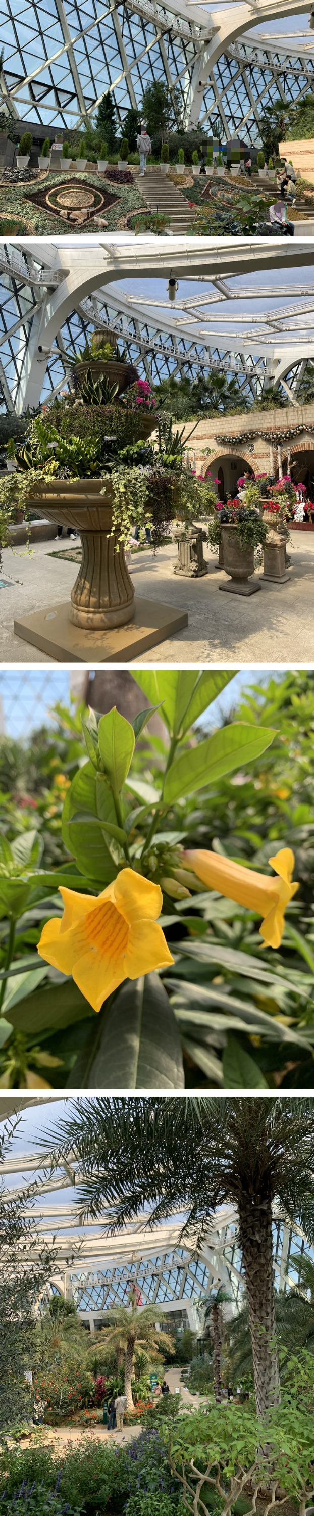 지중해식 정원