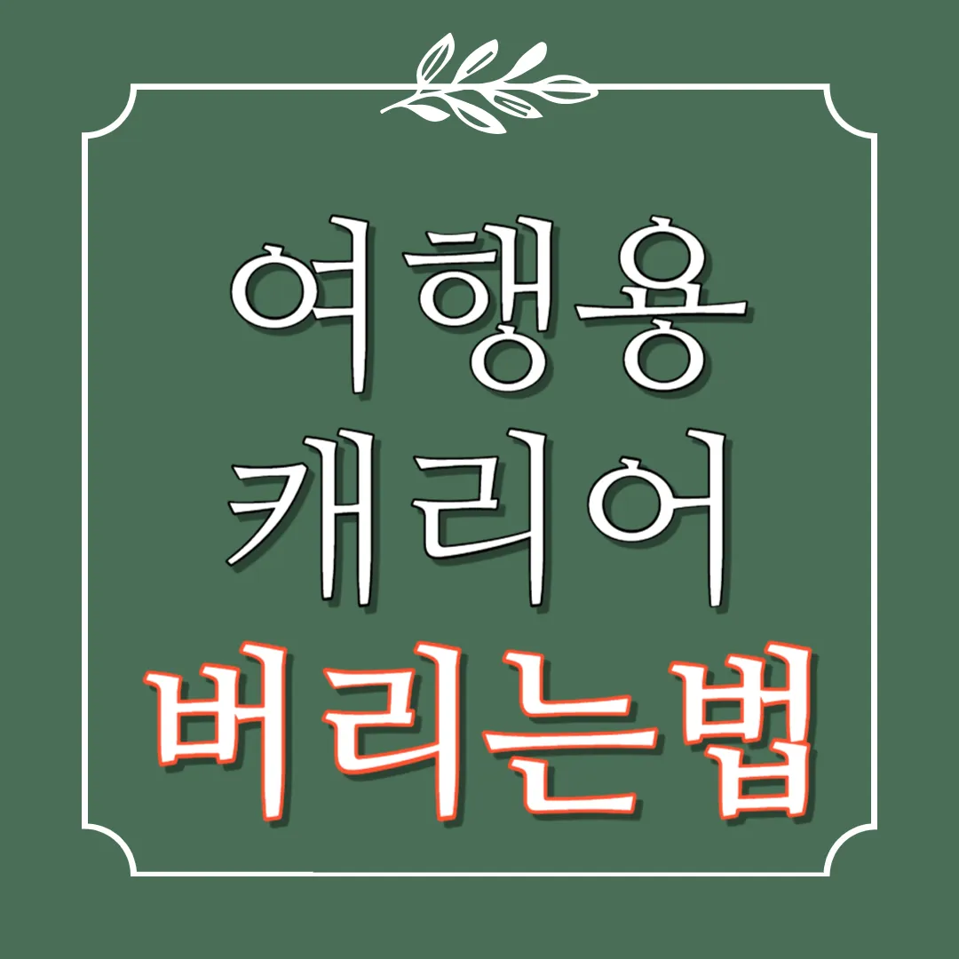 여행용-캐리어-버리는-방법-버리기