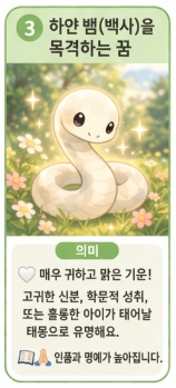 뱀꿈 해몽 상황별 총정리! 태몽부터 재물운까지 10가지 의미!