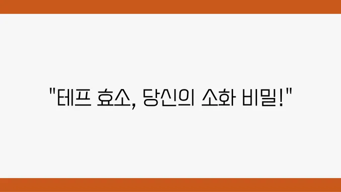 소화 효소 종류 및 효능 비교