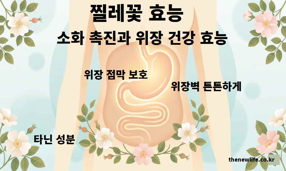 찔레꽃 효능 소화 촉진 위장 건강