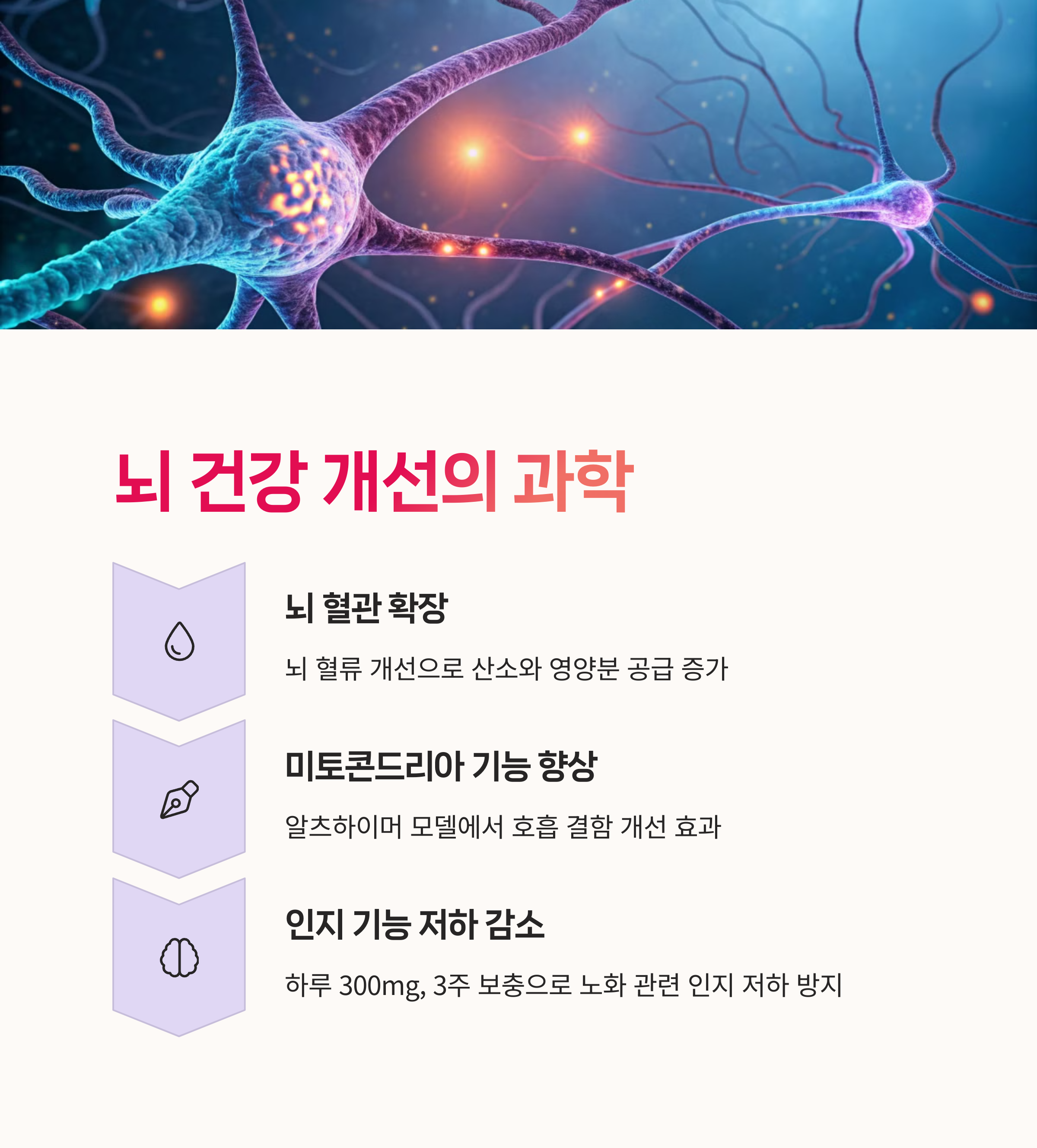 기억력개선,
