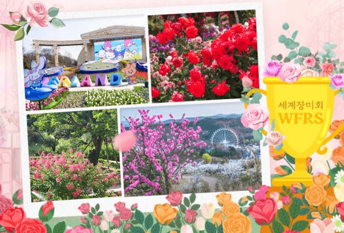 에버랜드 가든패스 입장권 온라인 예매 방법