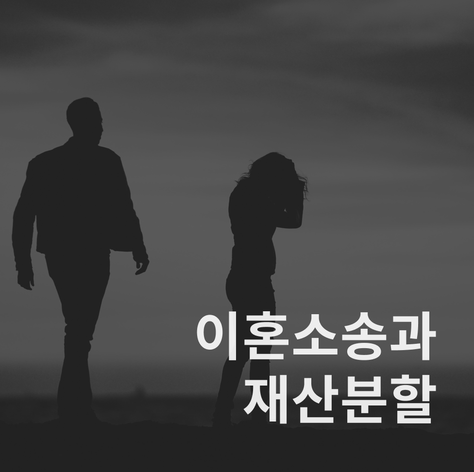 이혼소송, 재산분할