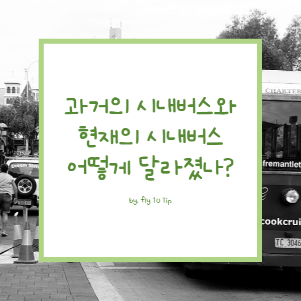 시내버스 제도의 변화