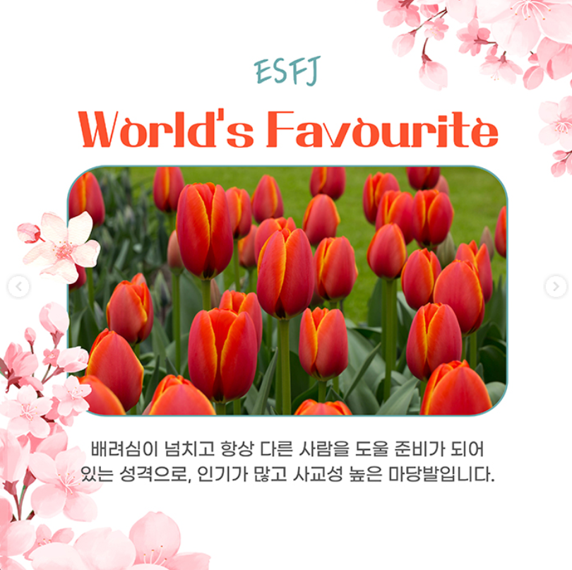 태안 세계튤립꽃박람회 마무리