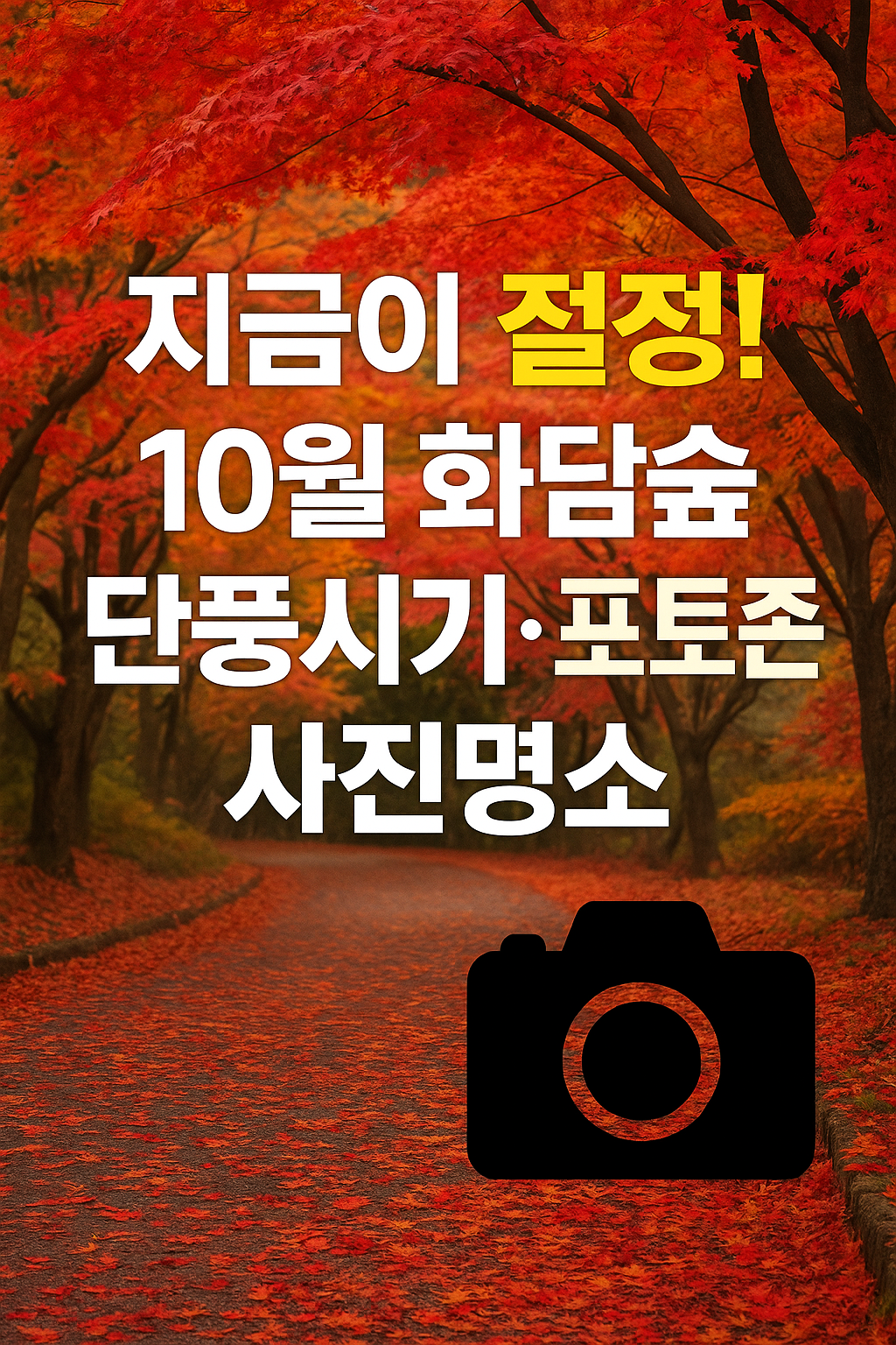 🍁 지금이 절정! 10월 화담숲 단풍시기&middot;포토존&middot;사진명소