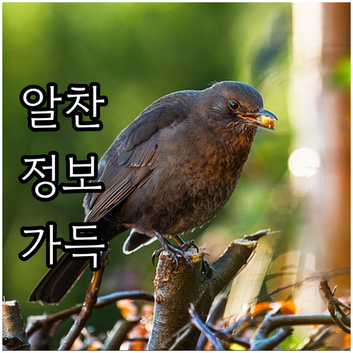 2025 고양시 중소기업 데이터 컨설..