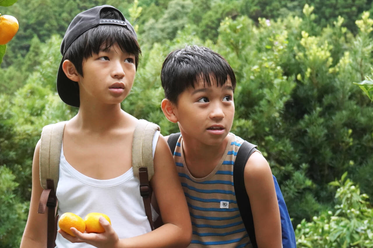 히사와 타케가 귤을 서리하고 누군가를 응시하고 있는 모습