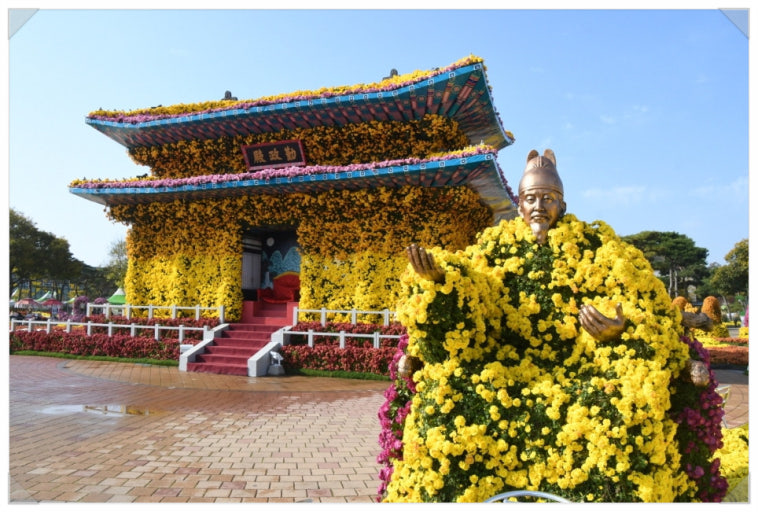 2025 대한민국 국향대전|“마법의 국향랜드” 가을 축제 완전정리 관련 사진