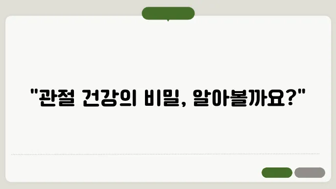 콘드로이친 풍부한 음식 TOP 5 효능 부작용