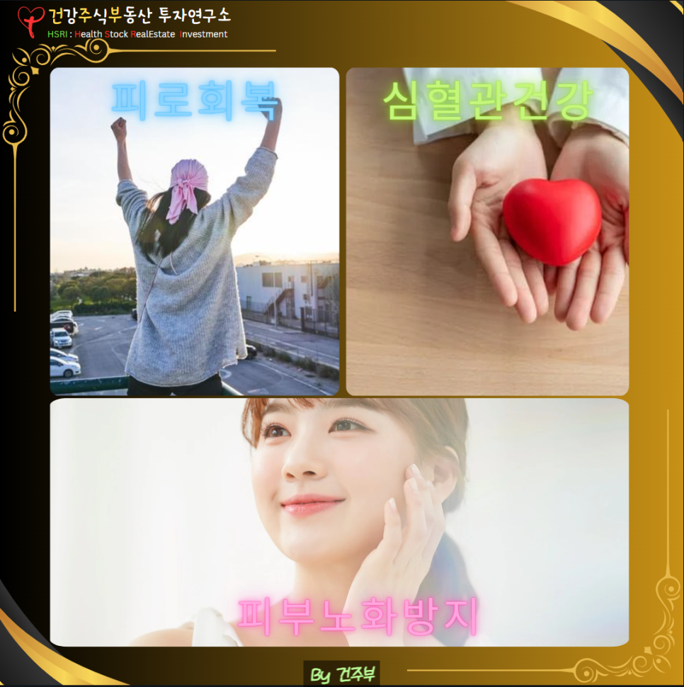 코엔자임 Q10(코큐텐) 효능과 부작용 섭취 방법
(글 그림 : 건주부, 그림 출처 : Canva)