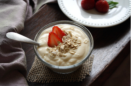 장 건강과 프로바이오틱스 – 유산균이 면역에 미치는 영향