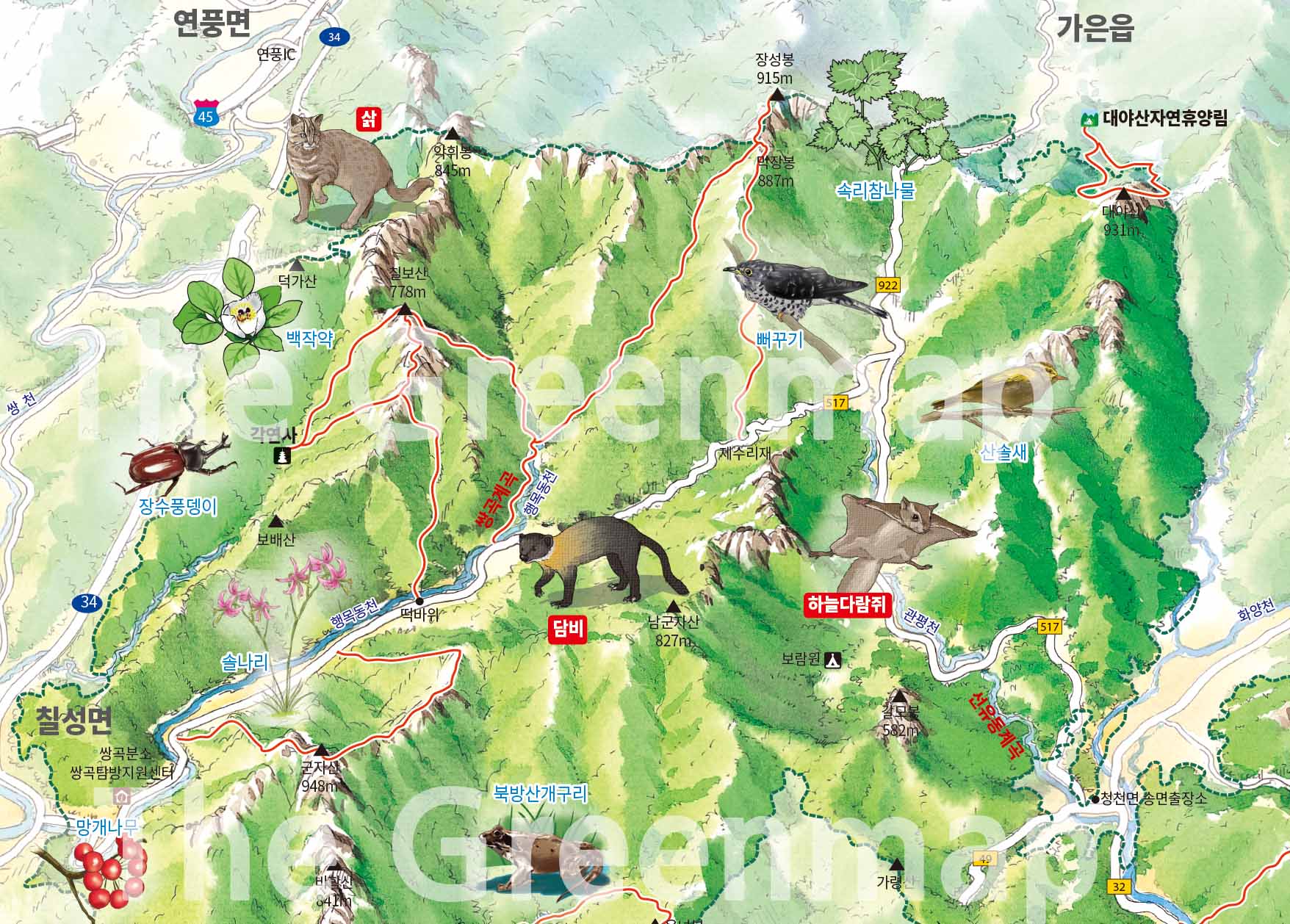 속리산, 연풍면 인근 칠보산 자락에 늠름하게 자리 잡은 삵, 담비, 뻐꾸기 등의 모습입니다.