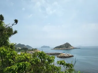 하추자도 배편 배시간표 예약 요금_17