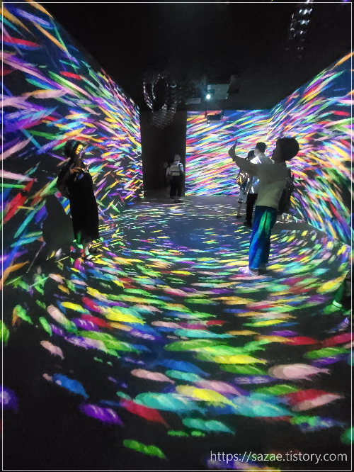 암스테르담 시티