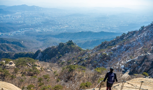 전국 진달래 명소 BEST 5, 영취산·비슬산·천주산·북한산·대둔산 개화시기·코스