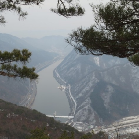 '피톤치드' 걷기좋은 휴양림 BEST 8곳