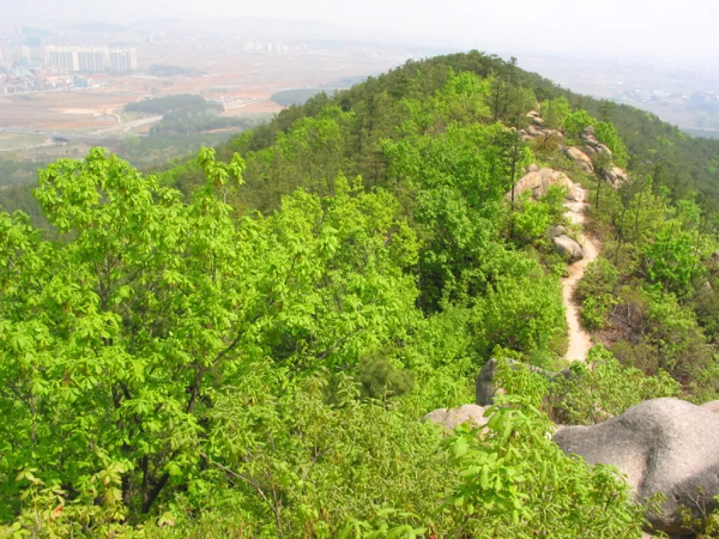 수원 칠보산 등산 코스 추천 용화사 코스로 여유롭게 걷기_6