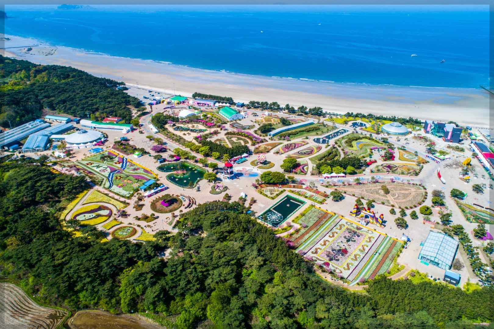 2024 태안 튤립 축제 일정 기간 입장료 할인 주차장