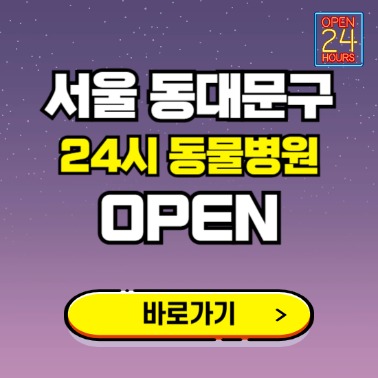 서울 동대문구 24시 동물병원 진료하는 곳 ❘ 설날 휴일 야간 심야 문여는곳 찾기 ❘ 응급진료