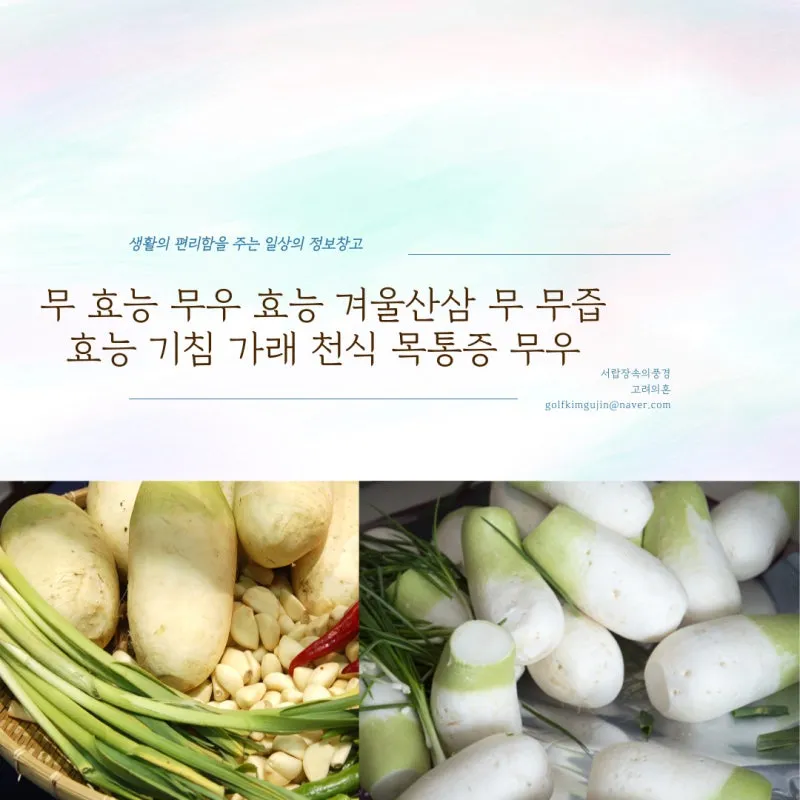 무우 효능 부작용 섭취 방법_8