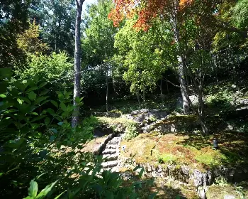 화담숲 예약 방법_15