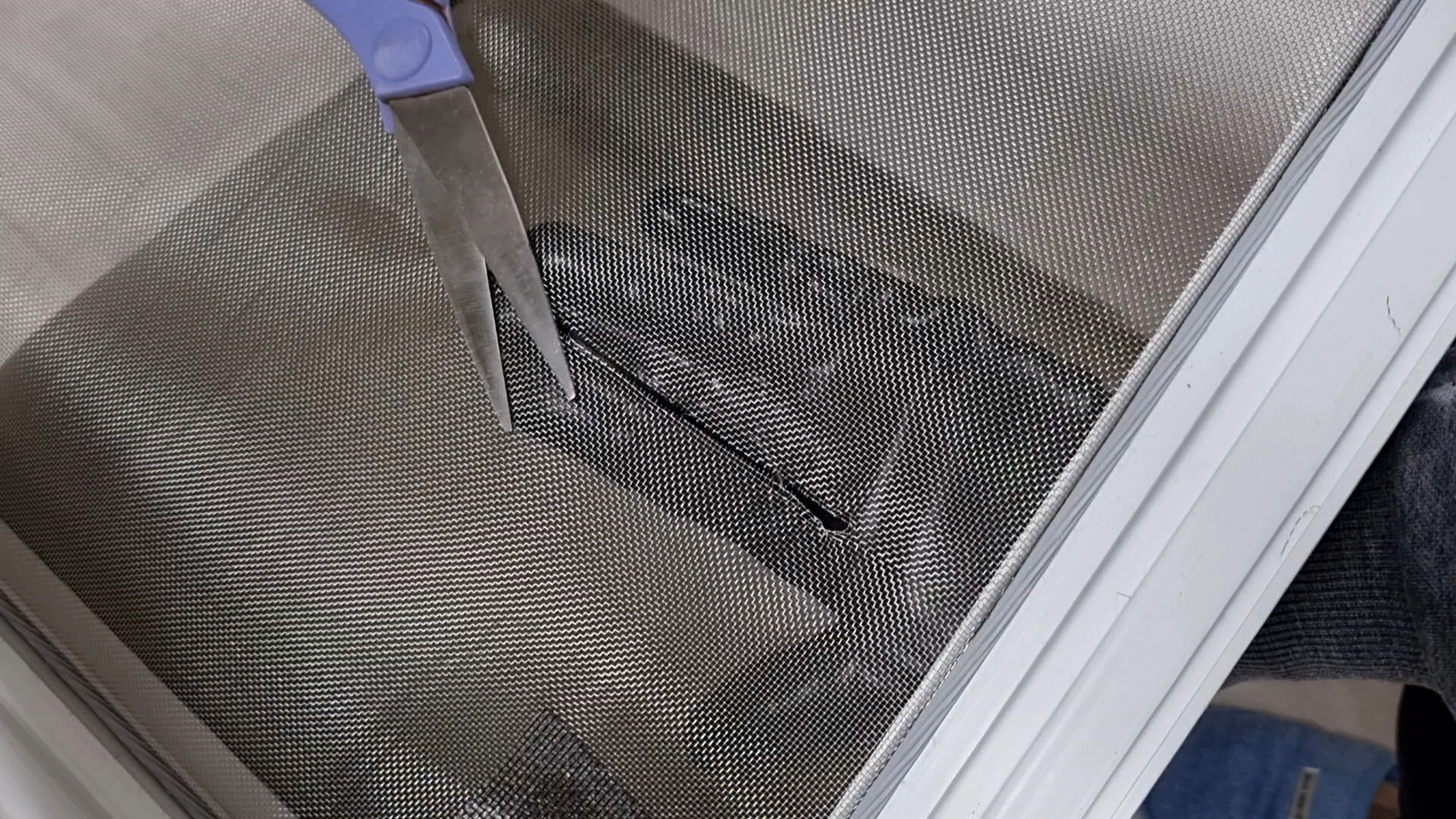 찢어진 방충망 손질 모습