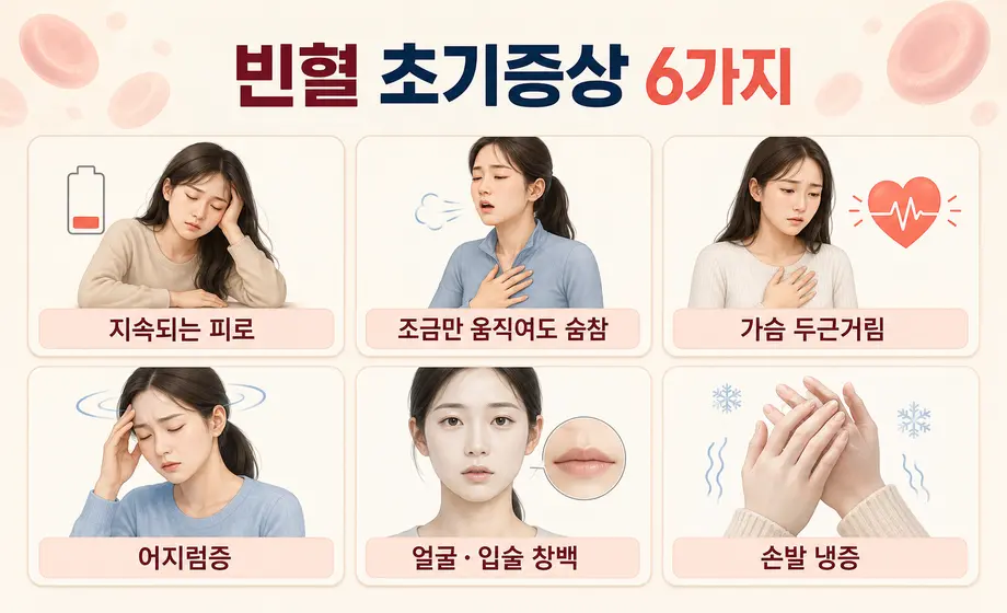 피로와 숨참, 두근거림, 어지럼증, 창백함, 손발 냉증 등 빈혈 초기증상 6가지